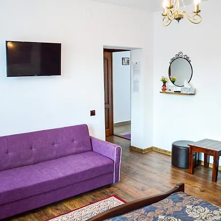 Guest house Pensiunea Casa Rica