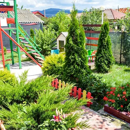 Pensiunea Casa Rica 3* Călimăneşti