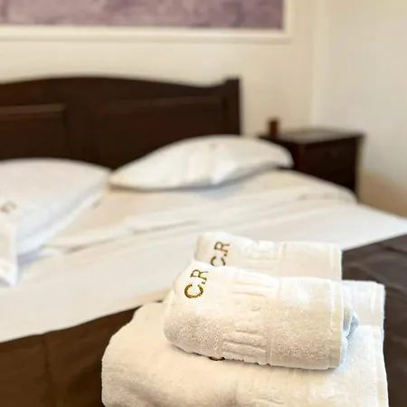 Pensiunea Casa Rica 3*