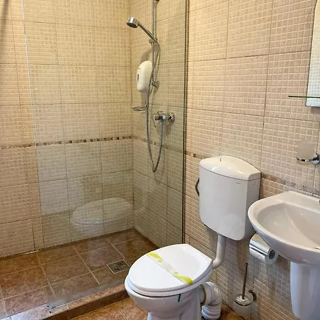 Pensiunea Casa Rica Guest house
