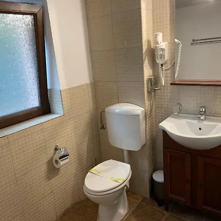 Pensiunea Casa Rica Călimăneşti