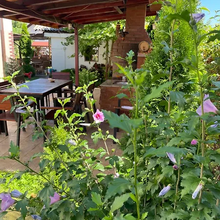 Πανσιόν Pensiunea Casa Rica Călimăneşti