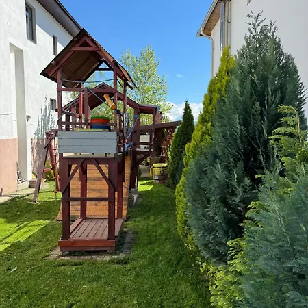 Pensiunea Casa Rica Călimăneşti