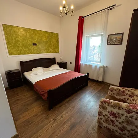 Guest house Pensiunea Casa Rica 3*