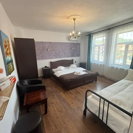 Pensiunea Casa Rica 3*